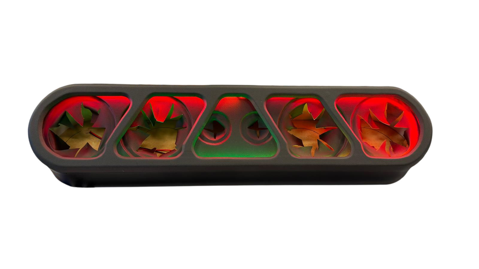 6.5" Speaker Rack Enclosure w/ Beauty Panel & LEDs